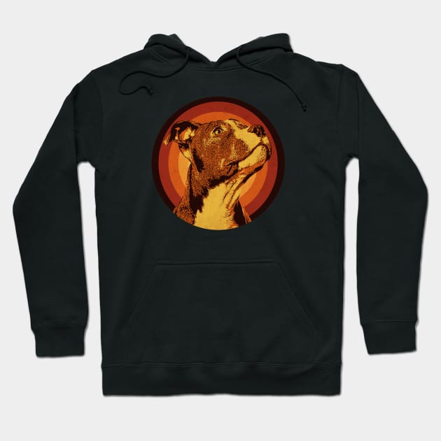 Pitbull Vintage Love Hoodie by CTShirts